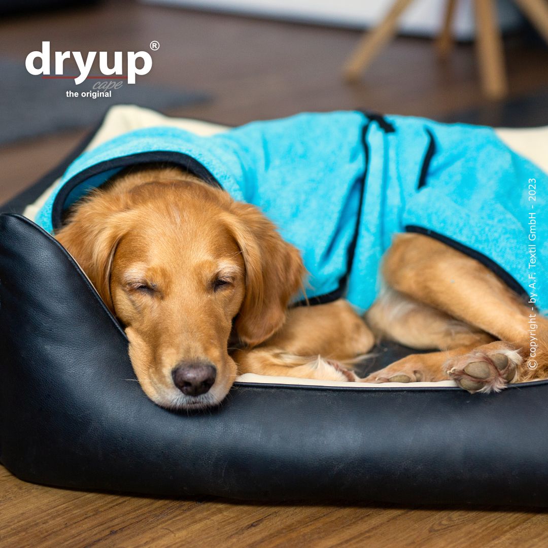Dryup cape - Cyan